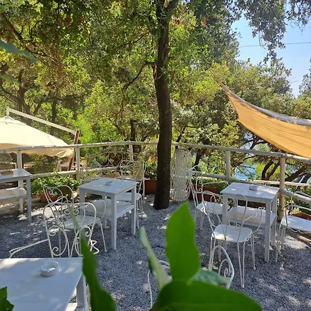 Bed And Breakfast Tenuta Palmieri Only Adult-3